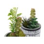 Plante décorative DKD Home Decor Céramique Noir Polyéthylène Blanc Vert (7 x 7 x 19 cm) (2 Unités): Plus de 300.000 produits de 