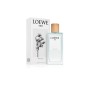 Parfum Femme Loewe Aire Anthesis EDP: Plus de 300.000 produits de grandes marques en vente directe à prix usine sur cadeaufou.co