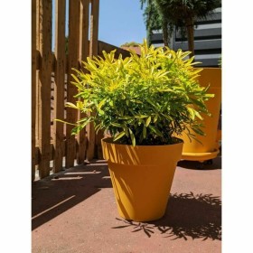 Pot Riviera Jaune Ø 60 cm: Plus de 300.000 produits de grandes marques en vente directe à prix usine sur cadeaufou.com. Label bo