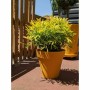 Pot Riviera Jaune Ø 60 cm: Plus de 300.000 produits de grandes marques en vente directe à prix usine sur cadeaufou.com. Label bo