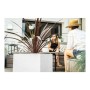 Pot EDA Graphit Blanc Plastique Carré 39 x 39 x 43 cm: Plus de 300.000 produits de grandes marques en vente directe à prix usine