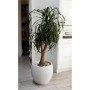 Pot EDA Graphit Rond Blanc Ø 50 cm: Plus de 300.000 produits de grandes marques en vente directe à prix usine sur cadeaufou.com.