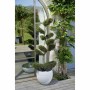 Pot EDA Graphit Rond Blanc Ø 50 cm: Plus de 300.000 produits de grandes marques en vente directe à prix usine sur cadeaufou.com.