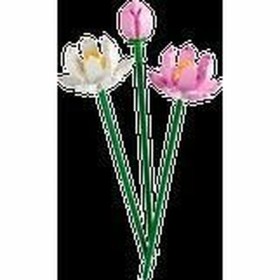 Set de construction Lego 40647 Lotus Flower Multicouleur: Plus de 300.000 produits de grandes marques en vente directe à prix us