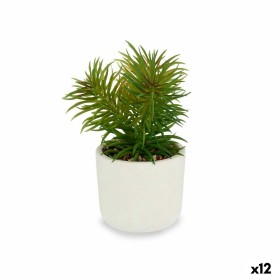 Plante décorative Blanc Vert (14 x 20 x 14 cm) (12 Unités): Plus de 300.000 produits de grandes marques en vente directe à prix 