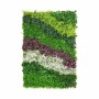 Kit de jardin vertical Fleurs Campagne Multicouleur Plastique 100 x 5 x 150 cm (8 Unités): Plus de 300.000 produits de grandes m