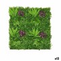 Kit de jardin vertical Fougère Multicouleur Plastique 100 x 7 x 100 cm (12 Unités): Plus de 300.000 produits de grandes marques 
