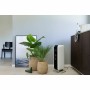 Radiateur Mill Blanc (Reconditionné B): Plus de 300.000 produits de grandes marques en vente directe à prix usine sur cadeaufou.