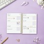 Agenda Finocam 8º SVH Multicouleur 1/8 12 x 16,4 cm 2024-2025: Plus de 300.000 produits de grandes marques en vente directe à pr
