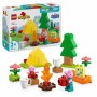 Set de construction Lego 10452: Plus de 300.000 produits de grandes marques en vente directe à prix usine sur cadeaufou.com. Lab