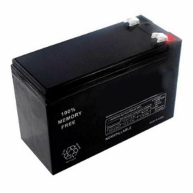 Batterie pour Système d'Alimentation Sans Interruption Salicru UBT 12/7 12/7 7 Ah 12 V: Plus de 300.000 produits de grandes marq