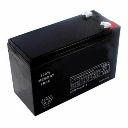 Batterie pour Système d'Alimentation Sans Interruption Salicru UBT 12/7 12/7 7 Ah 12 V: Plus de 300.000 produits de grandes marq