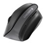 Souris sans-fil Cherry JW-4500 Noir 1200 DPI: Plus de 300.000 produits de grandes marques en vente directe à prix usine sur cade