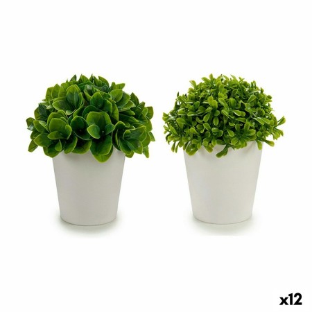 Plante décorative Ibergarden A18124-128-1WH Plastique 13 x 17 x 13 cm (12 Unités): Plus de 300.000 produits de grandes marques e