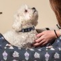 Collier pour Chien Disney: Plus de 300.000 produits de grandes marques en vente directe à prix usine sur cadeaufou.com. Label bo
