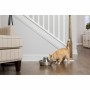 Mangeoire pour chiens PetSafe Argenté Acier inoxydable 1,8 L: Plus de 300.000 produits de grandes marques en vente directe à pri