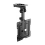 Support de TV Aisens CT43S-187 19-43 20 kg: Plus de 300.000 produits de grandes marques en vente directe à prix usine sur cadeau