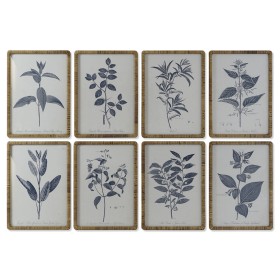 Cadre DKD Home Decor Moderne Plantes botaniques 50 x 2,5 x 70 cm (8 Unités): Plus de 300.000 produits de grandes marques en vent
