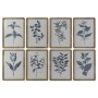 Cadre DKD Home Decor Moderne Plantes botaniques 50 x 2,5 x 70 cm (8 Unités): Plus de 300.000 produits de grandes marques en vent
