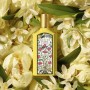 Parfum Femme Gucci Flora by Gucci Gorgeous Orchid EDP 50 ml: Plus de 300.000 produits de grandes marques en vente directe à prix