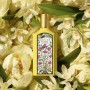 Parfum Femme Gucci Flora by Gucci Gorgeous Orchid EDP 50 ml: Plus de 300.000 produits de grandes marques en vente directe à prix