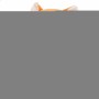 Peluche Projecteur LED Colorbaby Tissu Peluche Plastique 25 x 27 x 13 cm (4 Unités): Plus de 300.000 produits de grandes marques