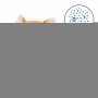 Peluche Projecteur LED Colorbaby Tissu Peluche Plastique 25 x 27 x 13 cm (4 Unités): Plus de 300.000 produits de grandes marques
