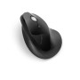 Souris sans-fil Kensington K75501EU Noir: Plus de 300.000 produits de grandes marques en vente directe à prix usine sur cadeaufo