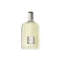 Parfum Homme Tom Ford EDP Grey Vetiver 100 ml: Plus de 300.000 produits de grandes marques en vente directe à prix usine sur cad