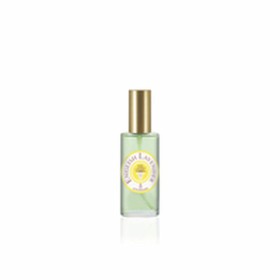 Parfum Homme English Lavender Atkinsons (75 ml): Plus de 300.000 produits de grandes marques en vente directe à prix usine sur c