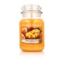 Bougie Parfumée Yankee Candle Classic Large Jar Candles Mango Peach Salsa 623 g: Plus de 300.000 produits de grandes marques en 