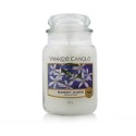 Bougie Parfumée Yankee Candle Classic Large Jar Candles Midnight Jasmine 623 g: Plus de 300.000 produits de grandes marques en v