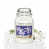 Bougie Parfumée Yankee Candle Classic Large Jar Candles Midnight Jasmine 623 g: Plus de 300.000 produits de grandes marques en v
