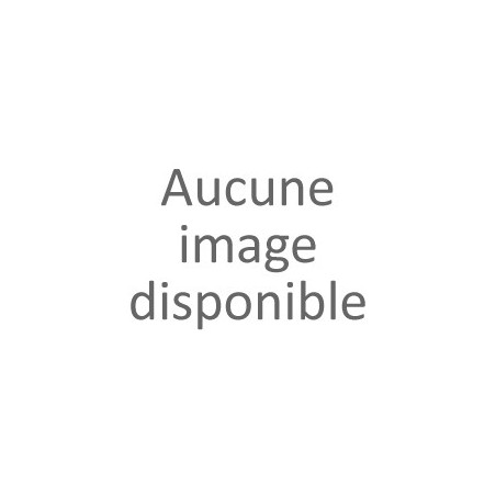 Imprimante laser Brother HLL2445DWRE1